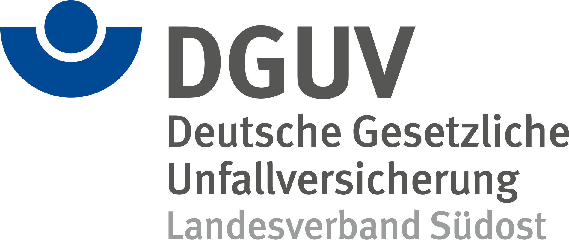 DGUV LVSO